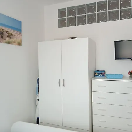 Il Delfino *
